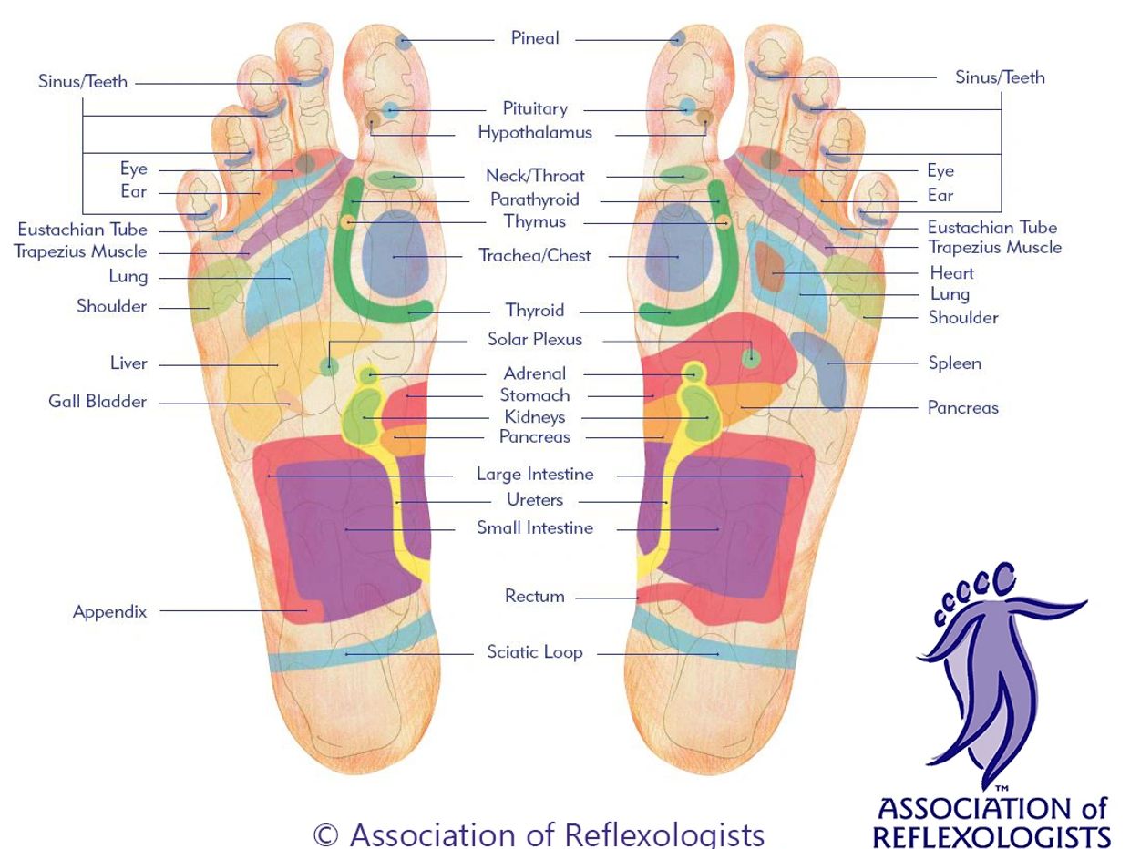 What is reflexology the BiG TOE